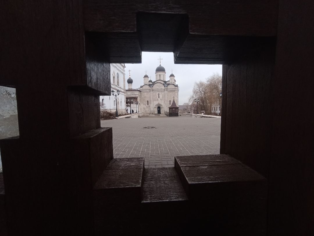 Серпухов, верба, весна