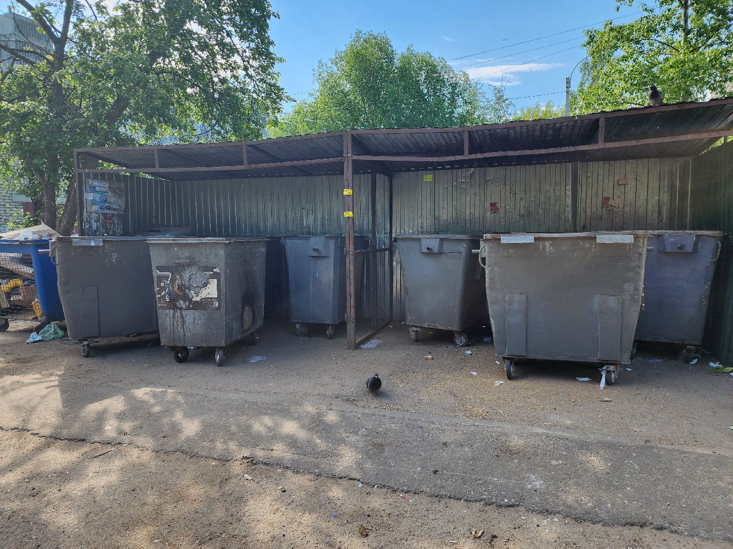 серпухов, подмосковье, контейнерная площадка, жкх,