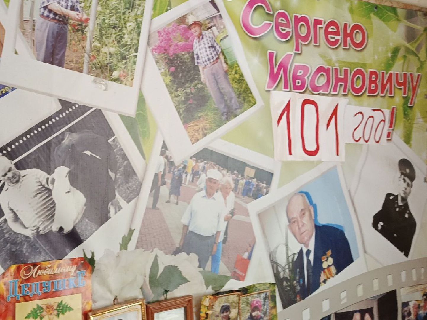 Солнечногорск, участник вов, почетный гражданин, день рождения, 101 год,