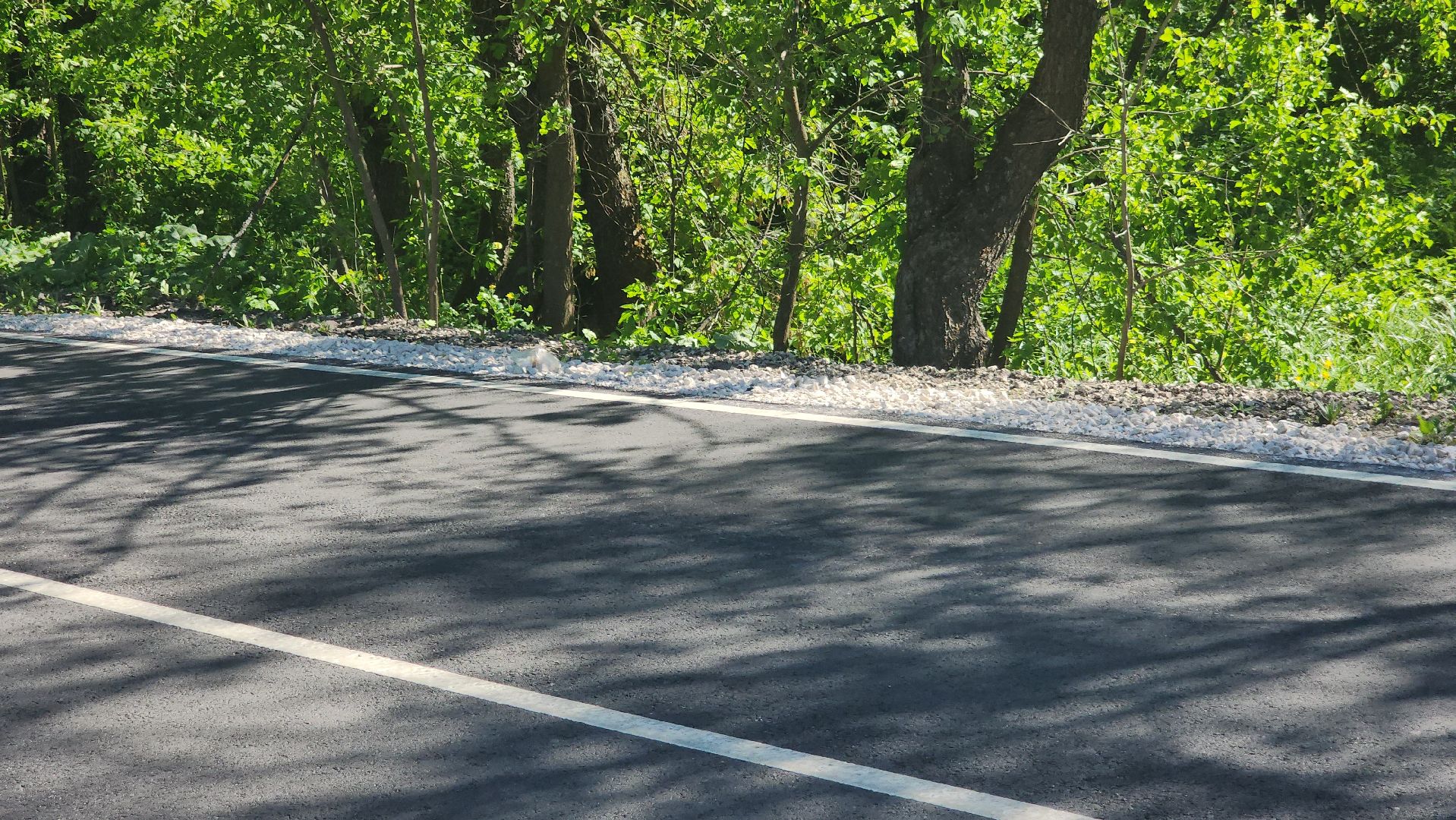Павловский посад, городской округ павловский посад, дороги, ремонт, асфальт, строительство,