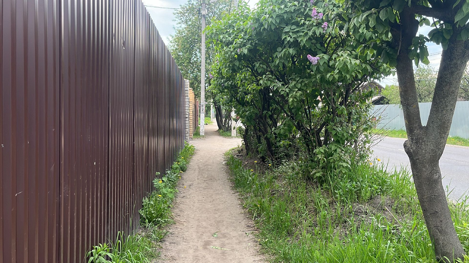 дорога, дороги, тротуар, капремонт, капремонт дороги,