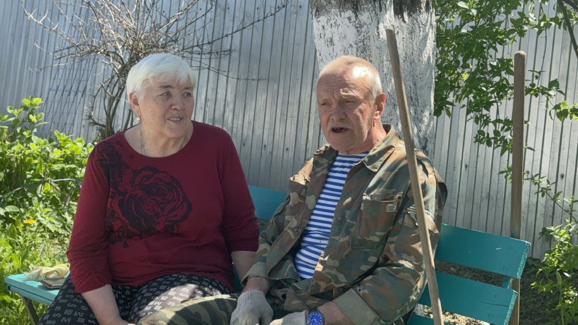 Солнечногорск, Опиловка деревьев, жители, выездная администрация, глава,