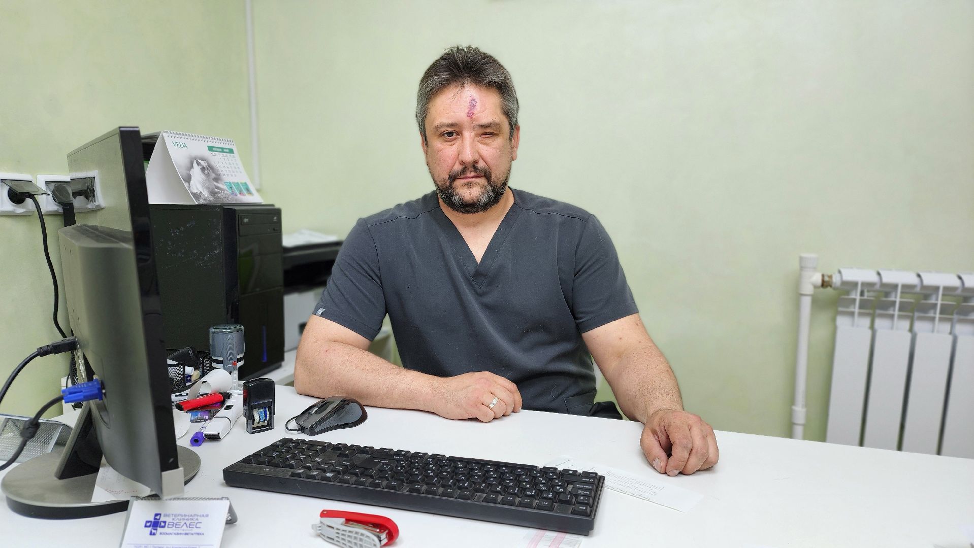 пироплазмоз, питомцы, ветеринар, сезон клещей, протвино,