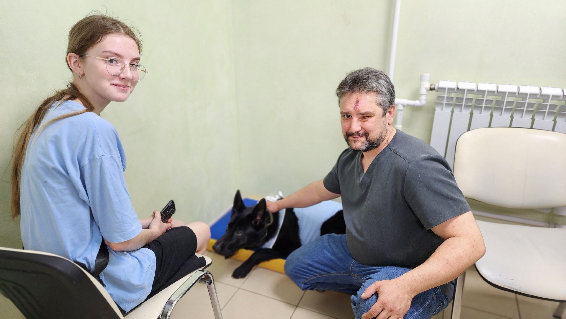 пироплазмоз, питомцы, ветеринар, сезон клещей, протвино,