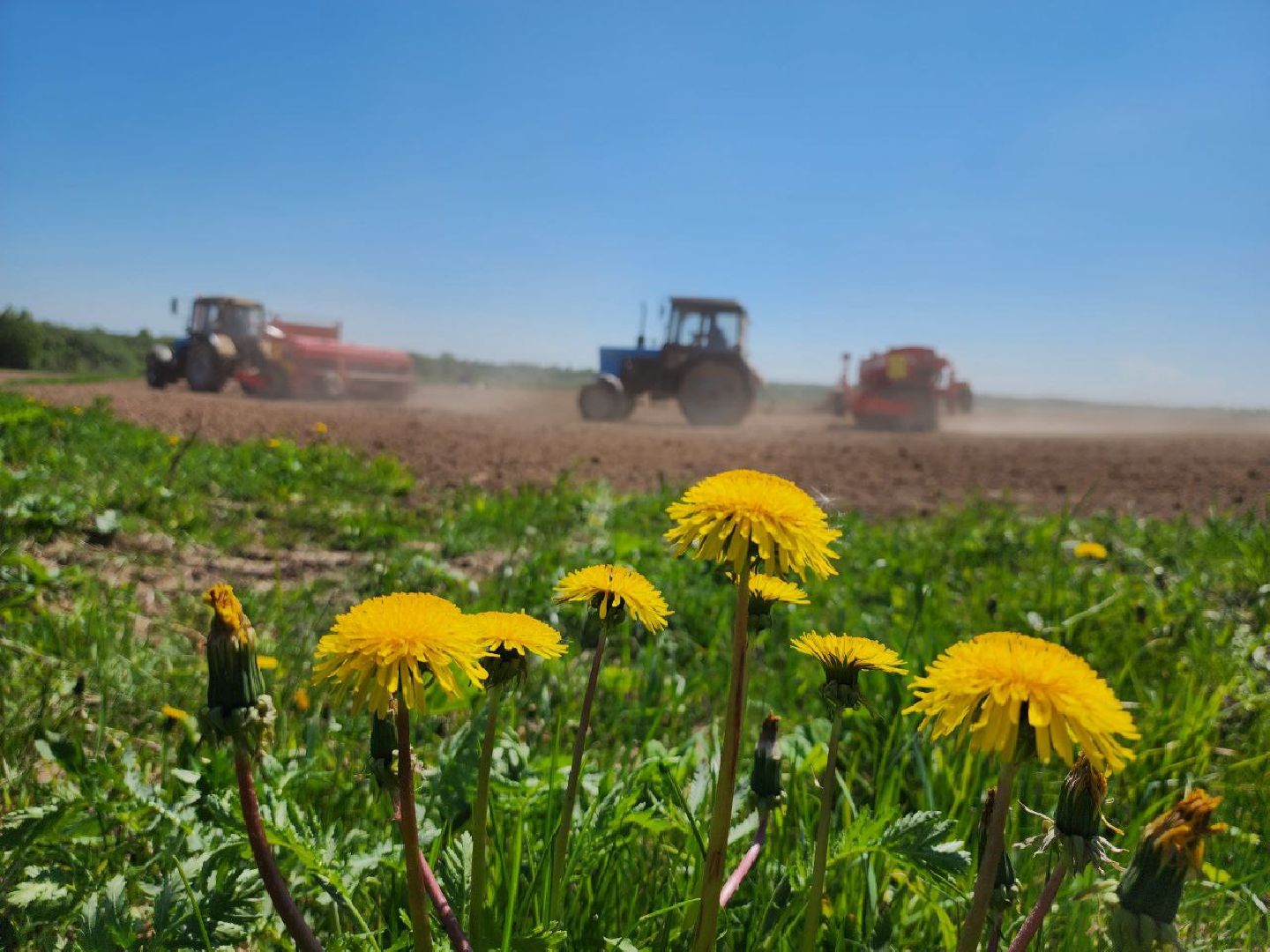 можайск, можайский городской округ, подмосковье, колхоз, колхоз уваровский, сельское хозяйство, посевная кампания, поля, зерновые культуры,