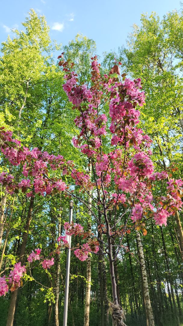 электросталь, мой город, жители города, водоём, водоемы, пляж, летний сезон, летний отдых, лето в подмосковье,