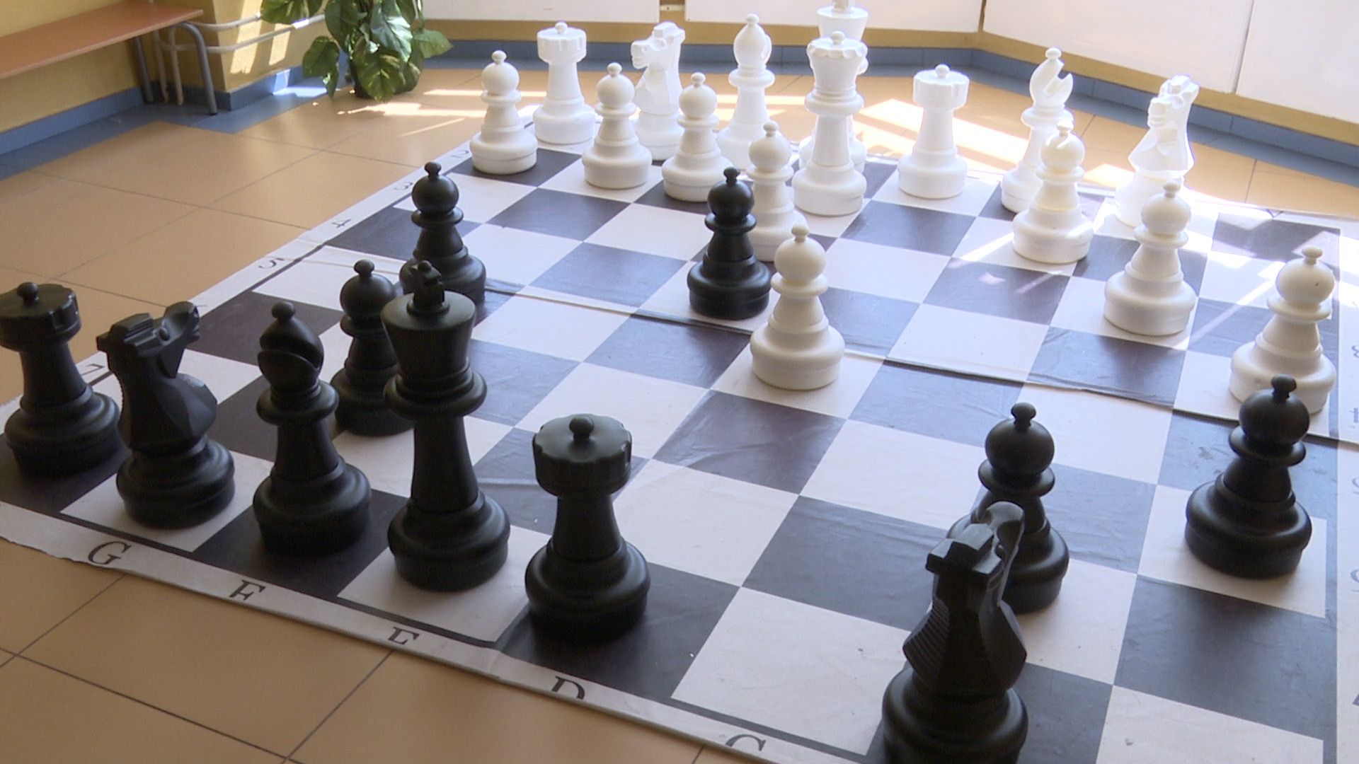 Реутов, пришкольные лагеря, лето, отдых, дети, школы,