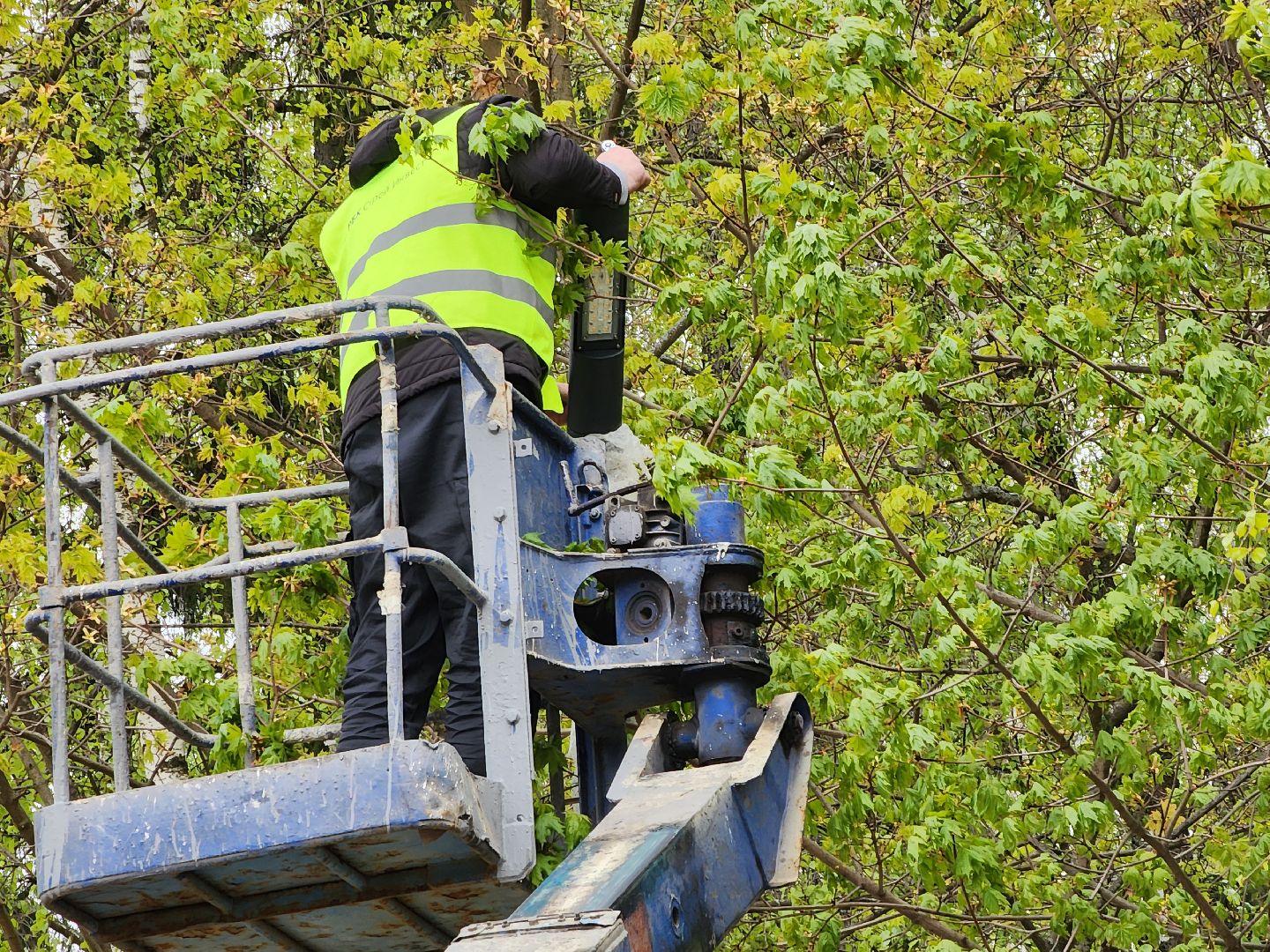 Черноголовка, благоустройство, южное озеро,