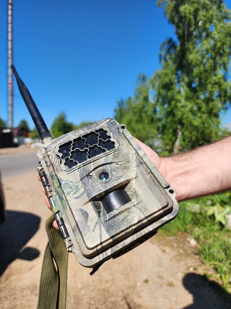 фотоловушки, незаконный вывоз мусора, штраф, экология, Безопасность, Руза, рузский городской округ, московская область,