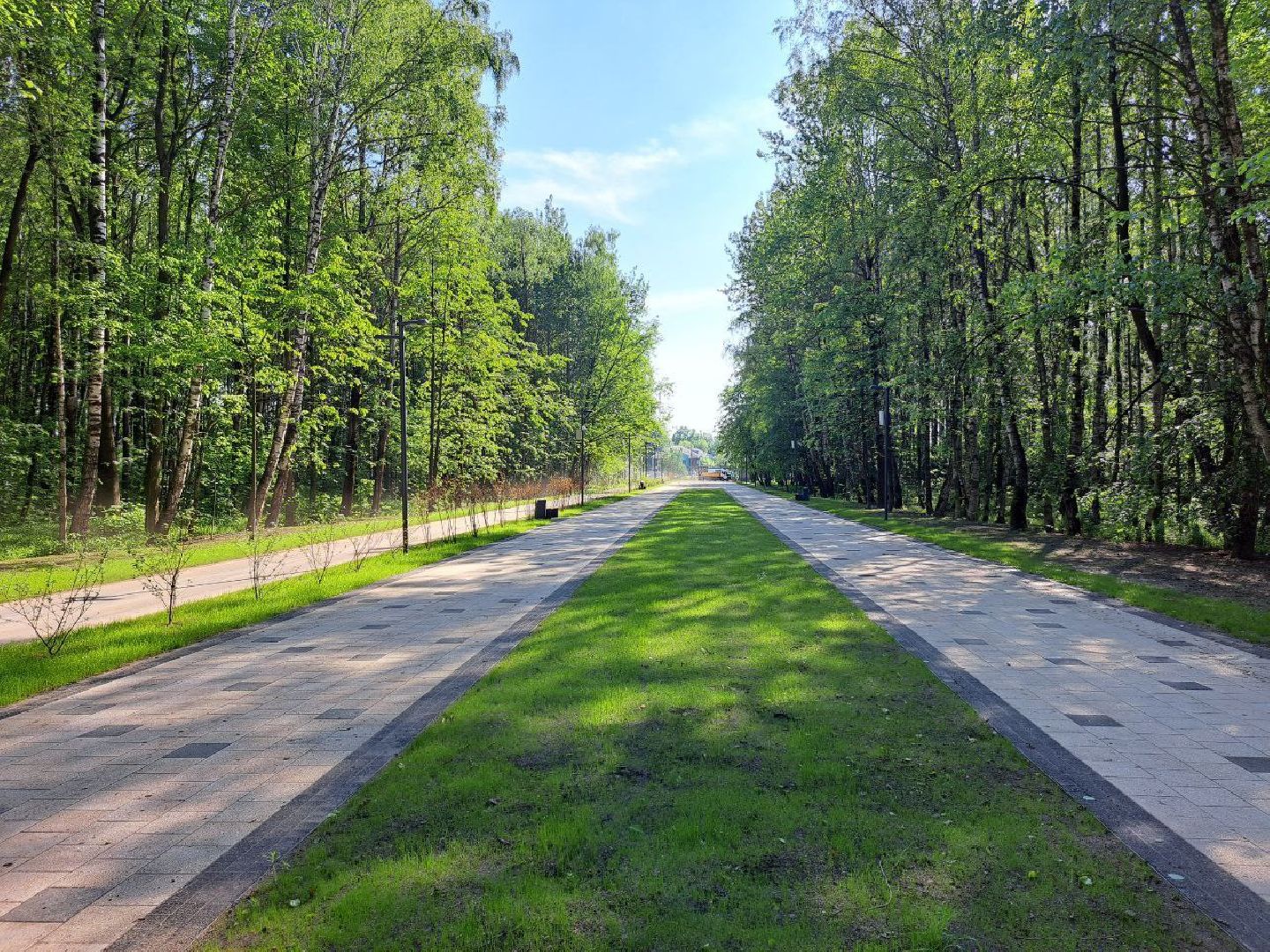 электросталь, мой город, безопасность, пожарная безопасность, мчс, мчс россии, пожароопасный сезон, шашлыки, шашлык в лесу, шашлык у озера,