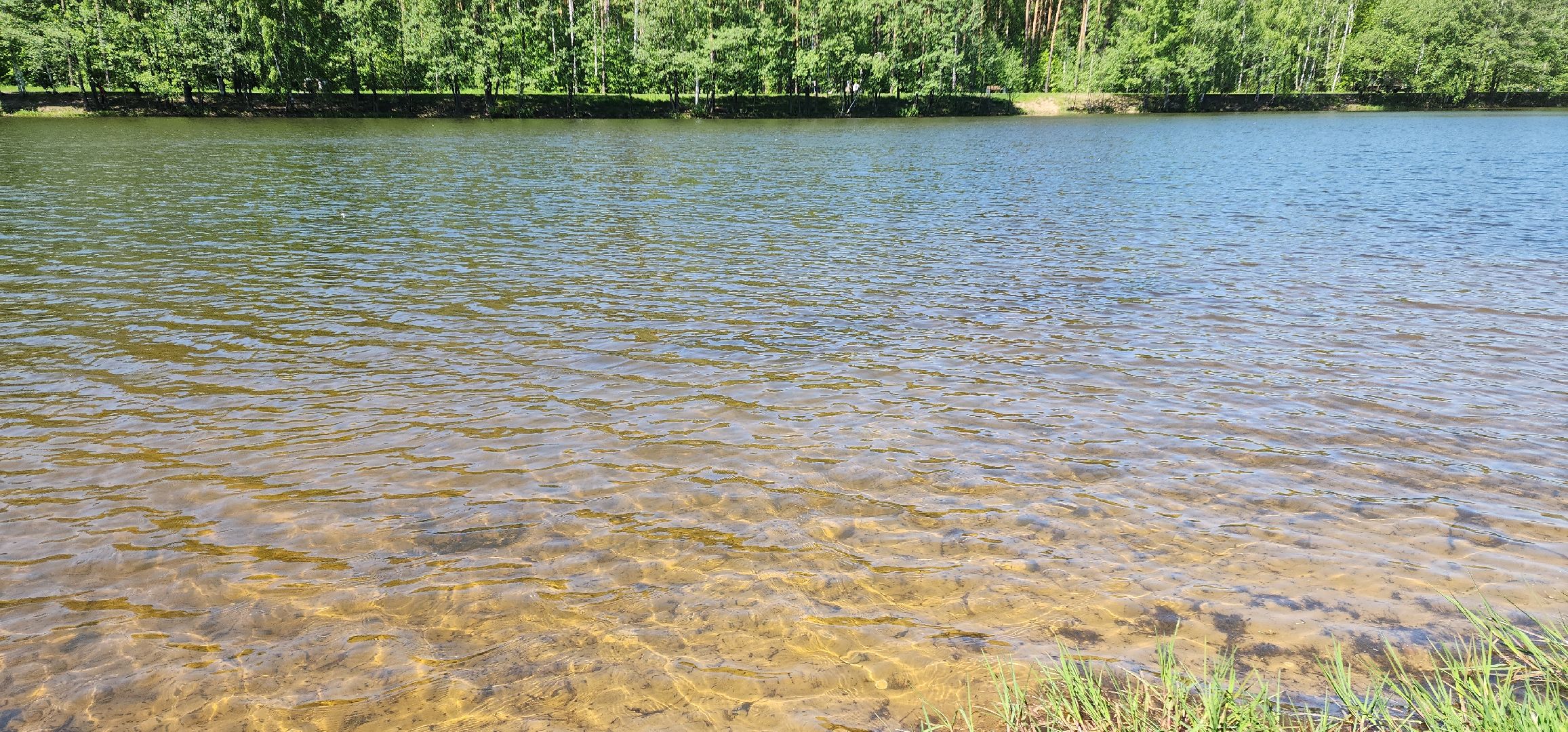 электросталь, мой город, безопасность, пожарная безопасность, мчс, мчс россии, пожароопасный сезон, шашлыки, шашлык в лесу, шашлык у озера,