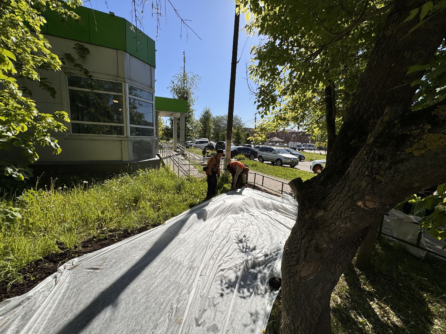 Одинцово, благоуйстройство, озеленение,