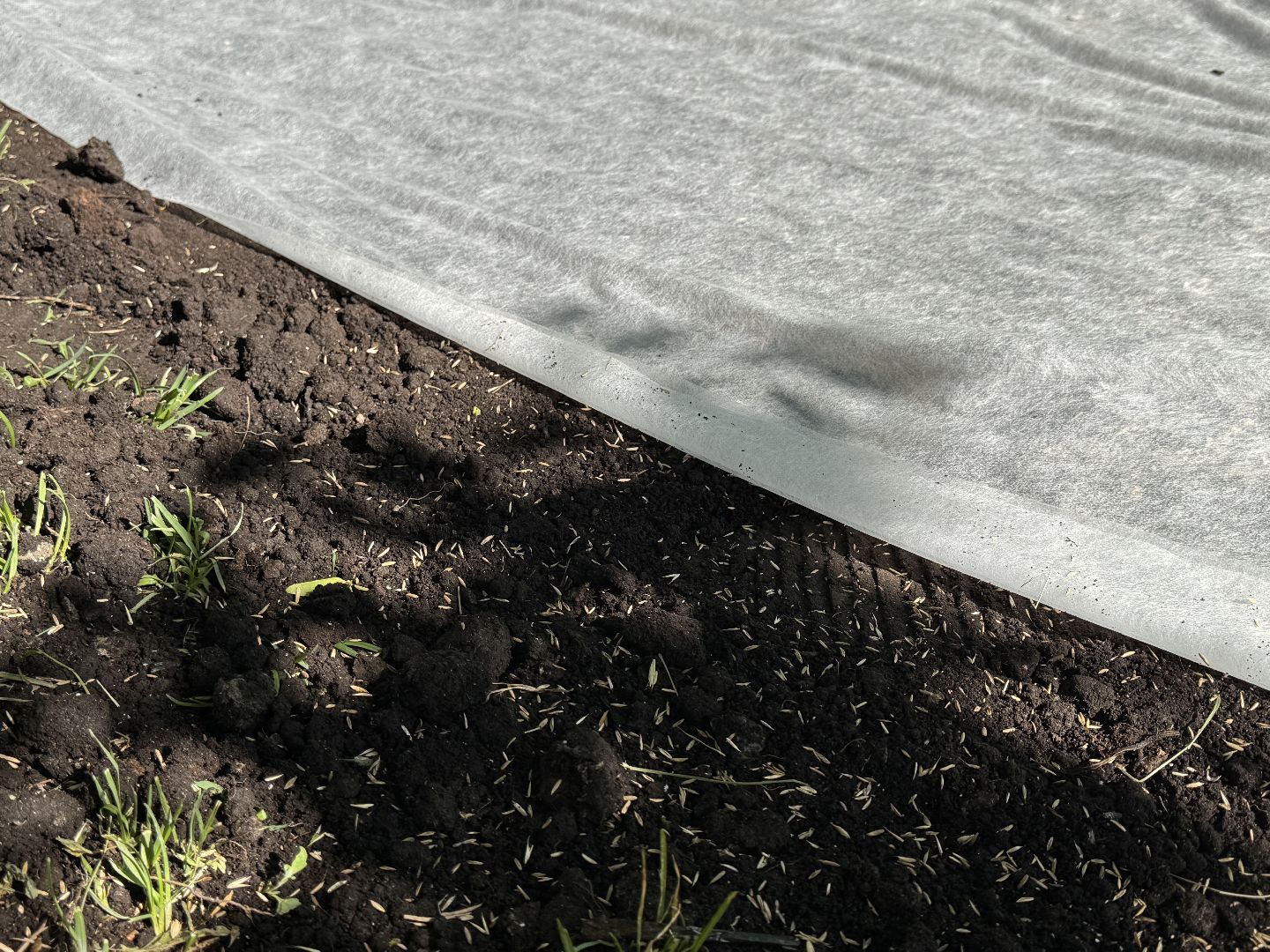 Одинцово, благоуйстройство, озеленение,