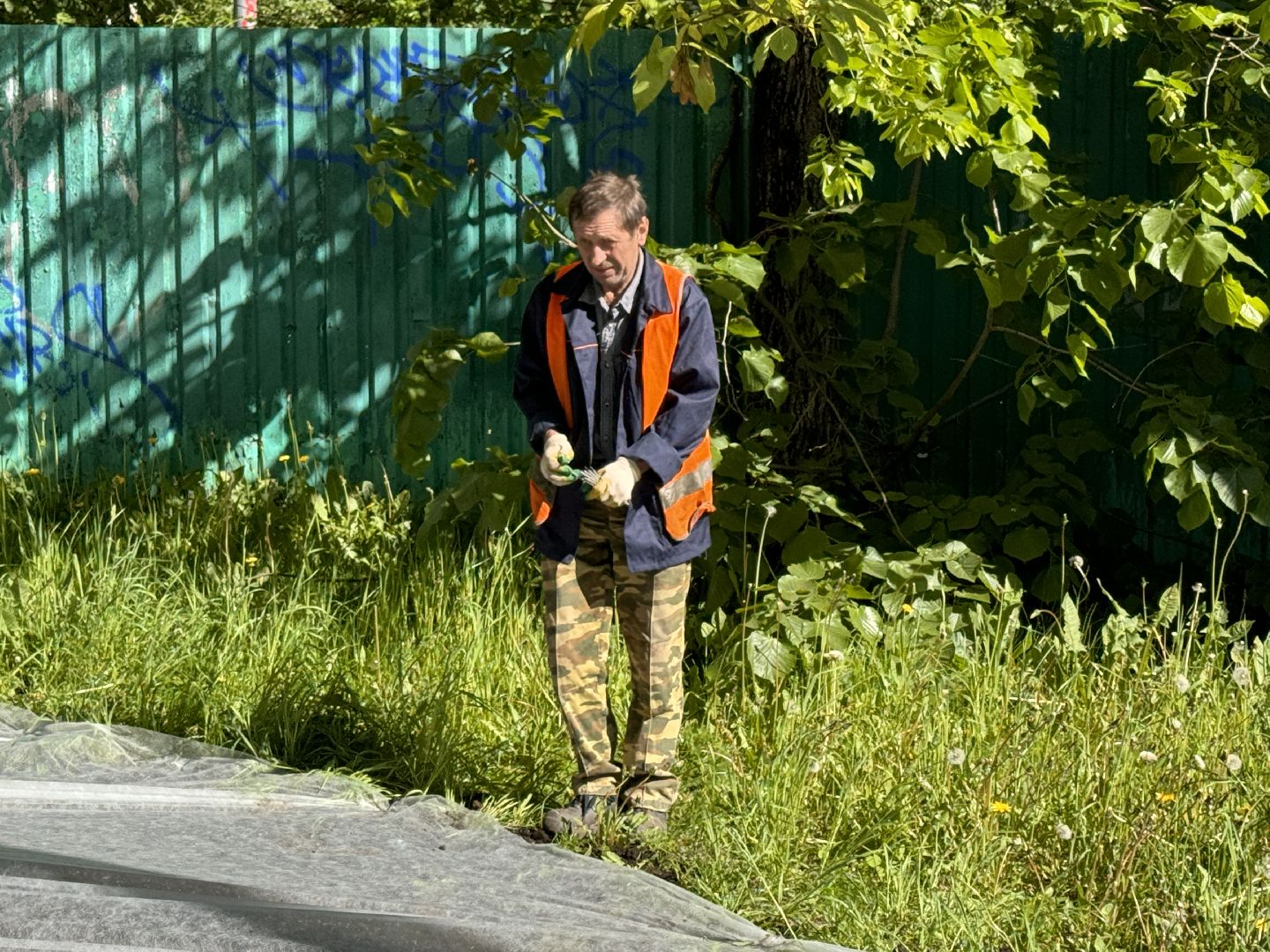 Одинцово, благоуйстройство, озеленение,