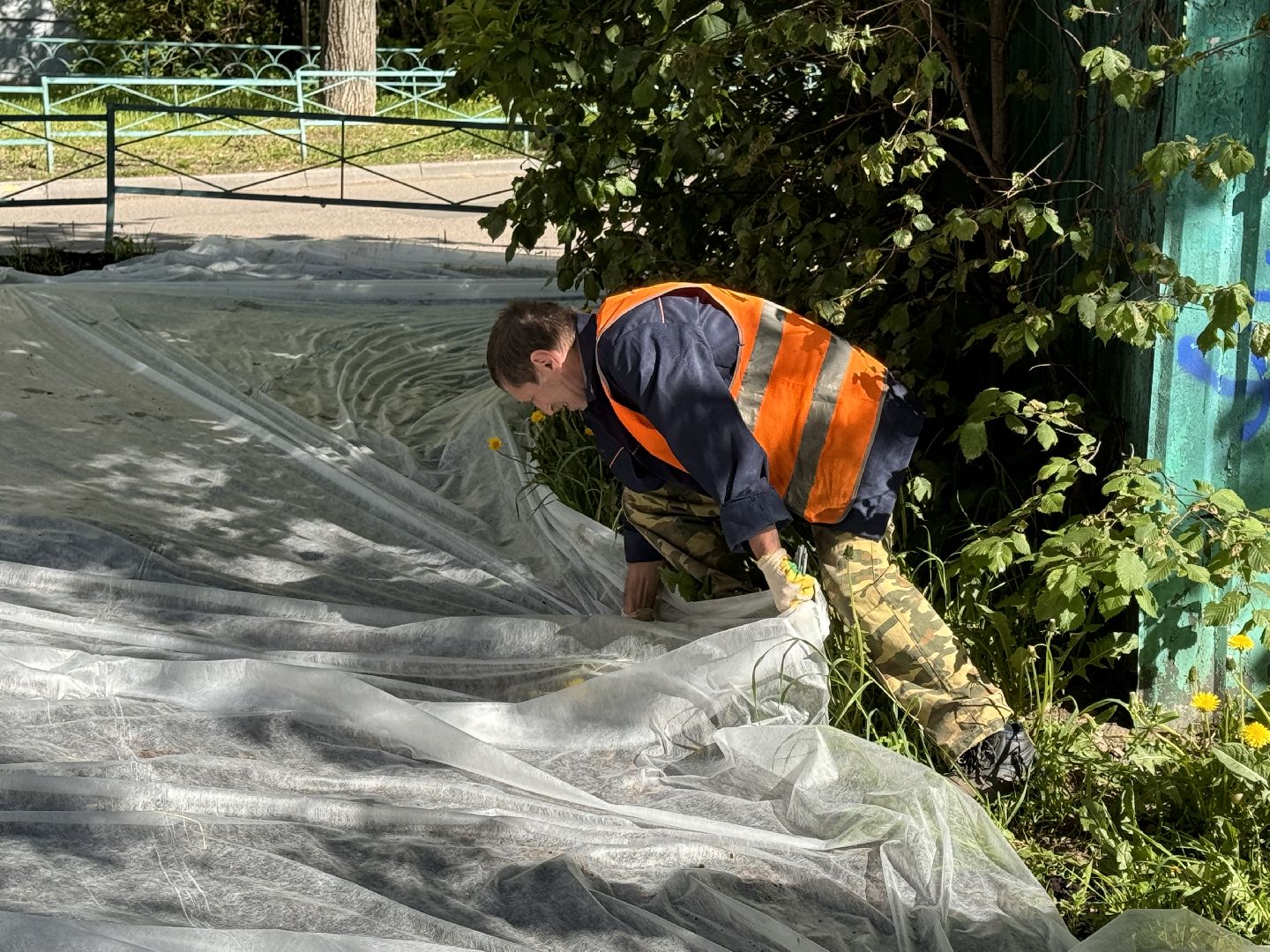 Одинцово, благоуйстройство, озеленение,