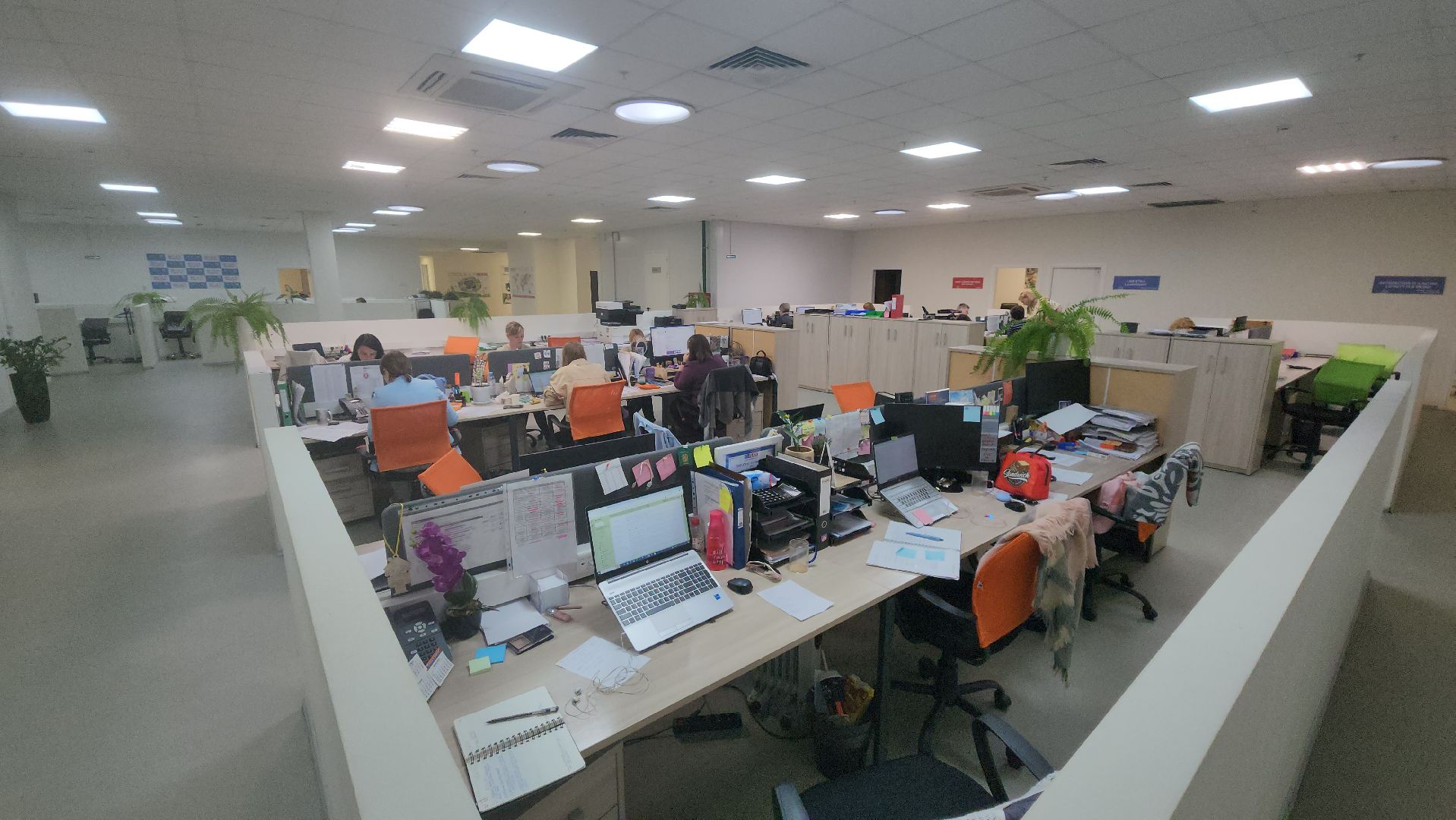 ступино, летнее трудоустройство, студенты подмосковья,