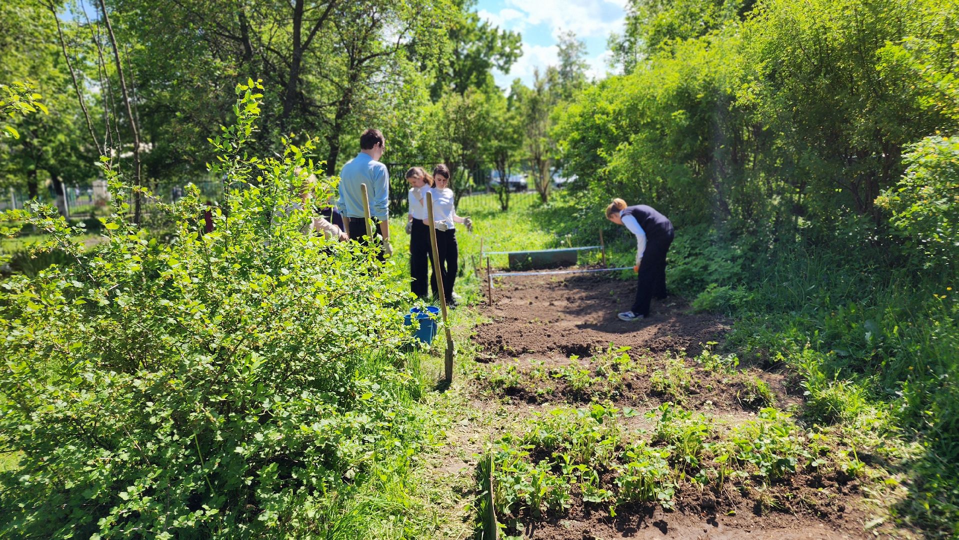 ступино, образование подмосковья, школы подмосковья,