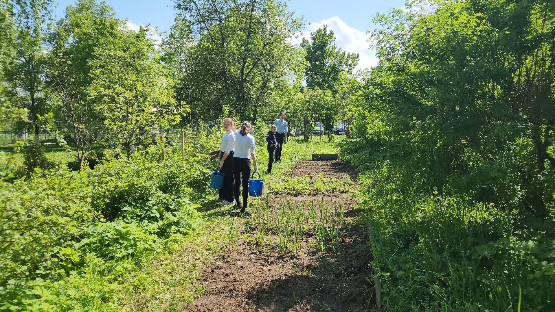 ступино, образование подмосковья, школы подмосковья,