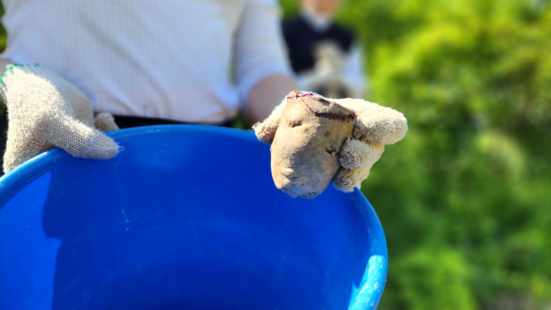 ступино, образование подмосковья, школы подмосковья,