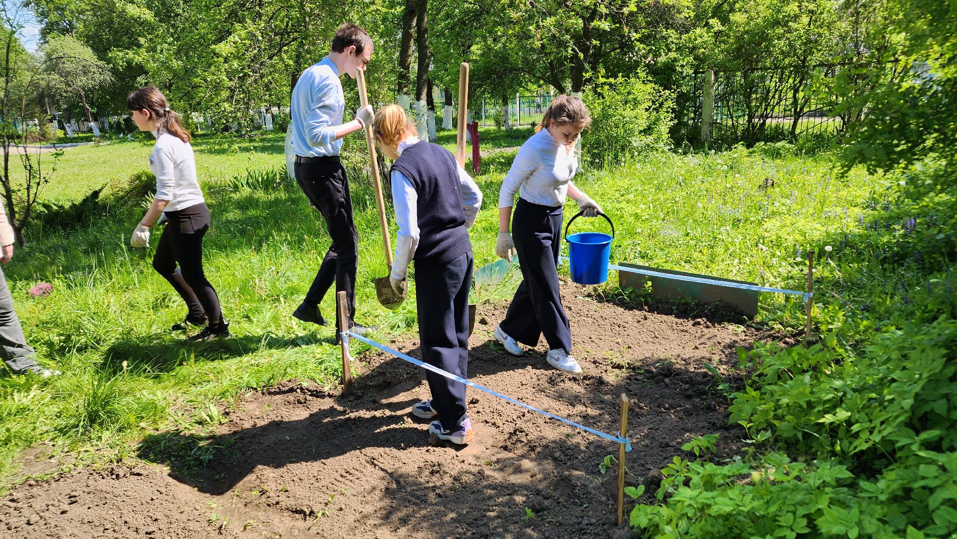 ступино, образование подмосковья, школы подмосковья,
