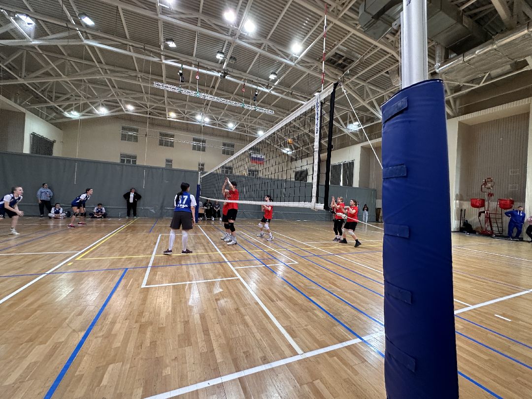 Одинцово, Волейбол, Турнир, Образование, Спорт