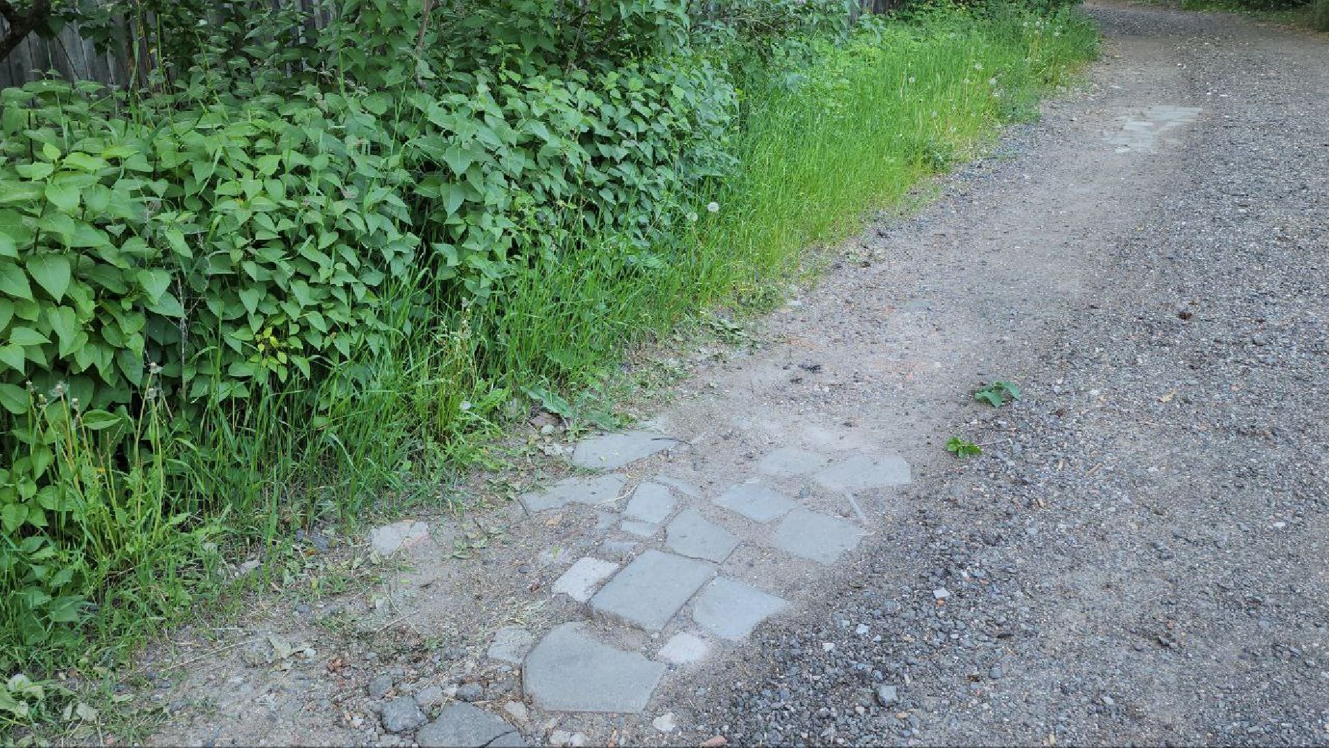 люберцы, глава городского округа люберцы владимир волков, выездная администрация, ремонт дороги, просьба жителей,