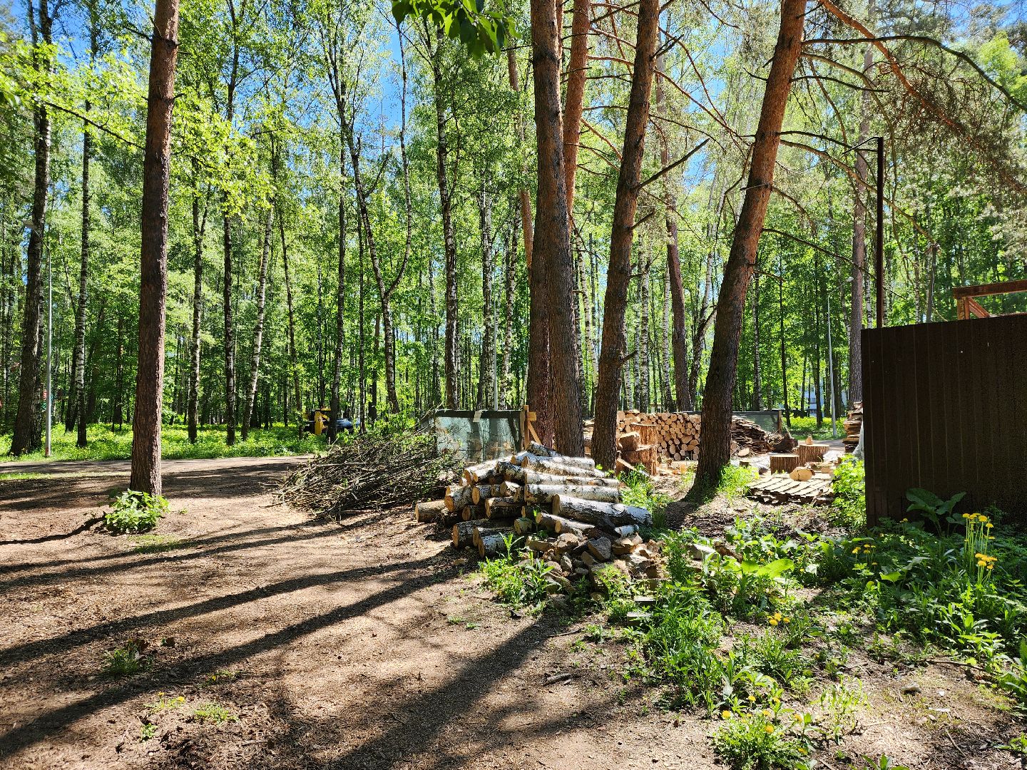 ногинск, ремонт, каток, парки, строительство, жители, общество,
