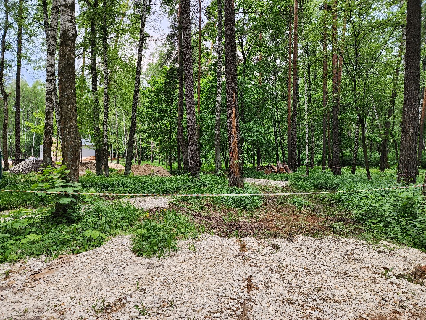 ногинск, ремонт, каток, парки, строительство, жители, общество,