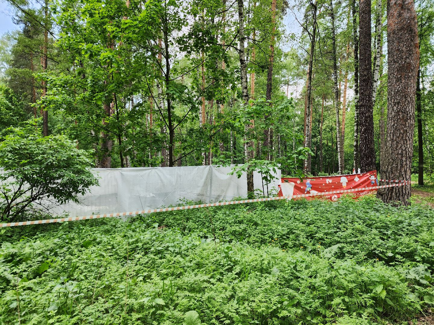 ногинск, ремонт, каток, парки, строительство, жители, общество,