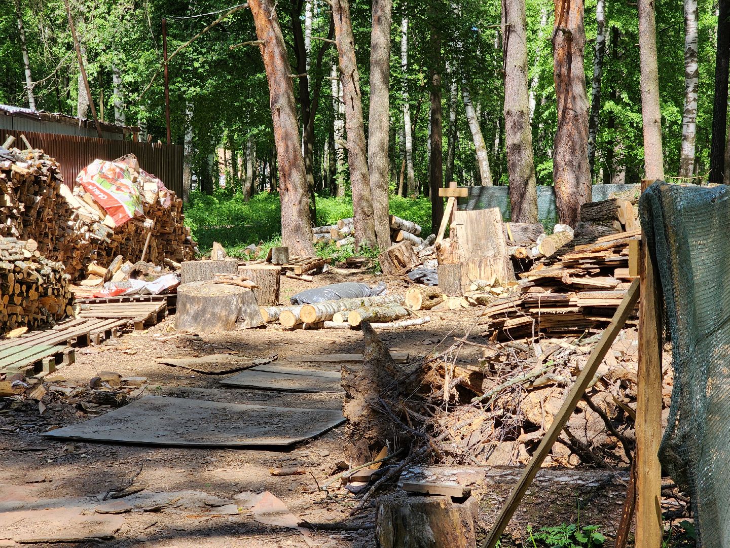 ногинск, ремонт, каток, парки, строительство, жители, общество,