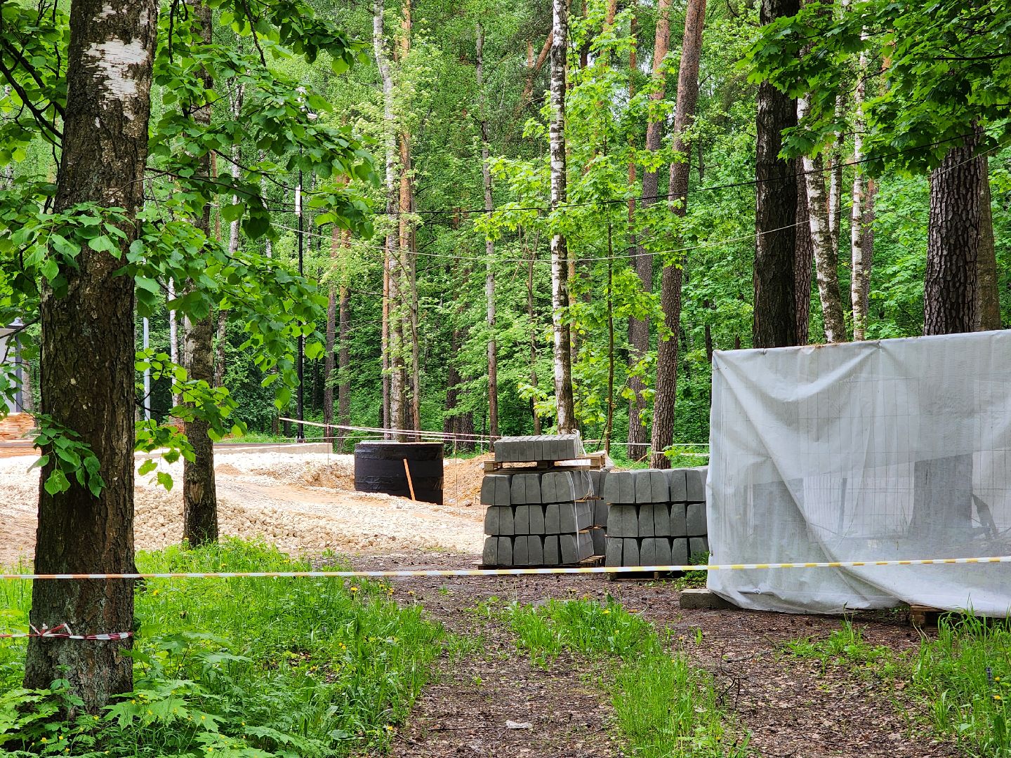 ногинск, ремонт, каток, парки, строительство, жители, общество,