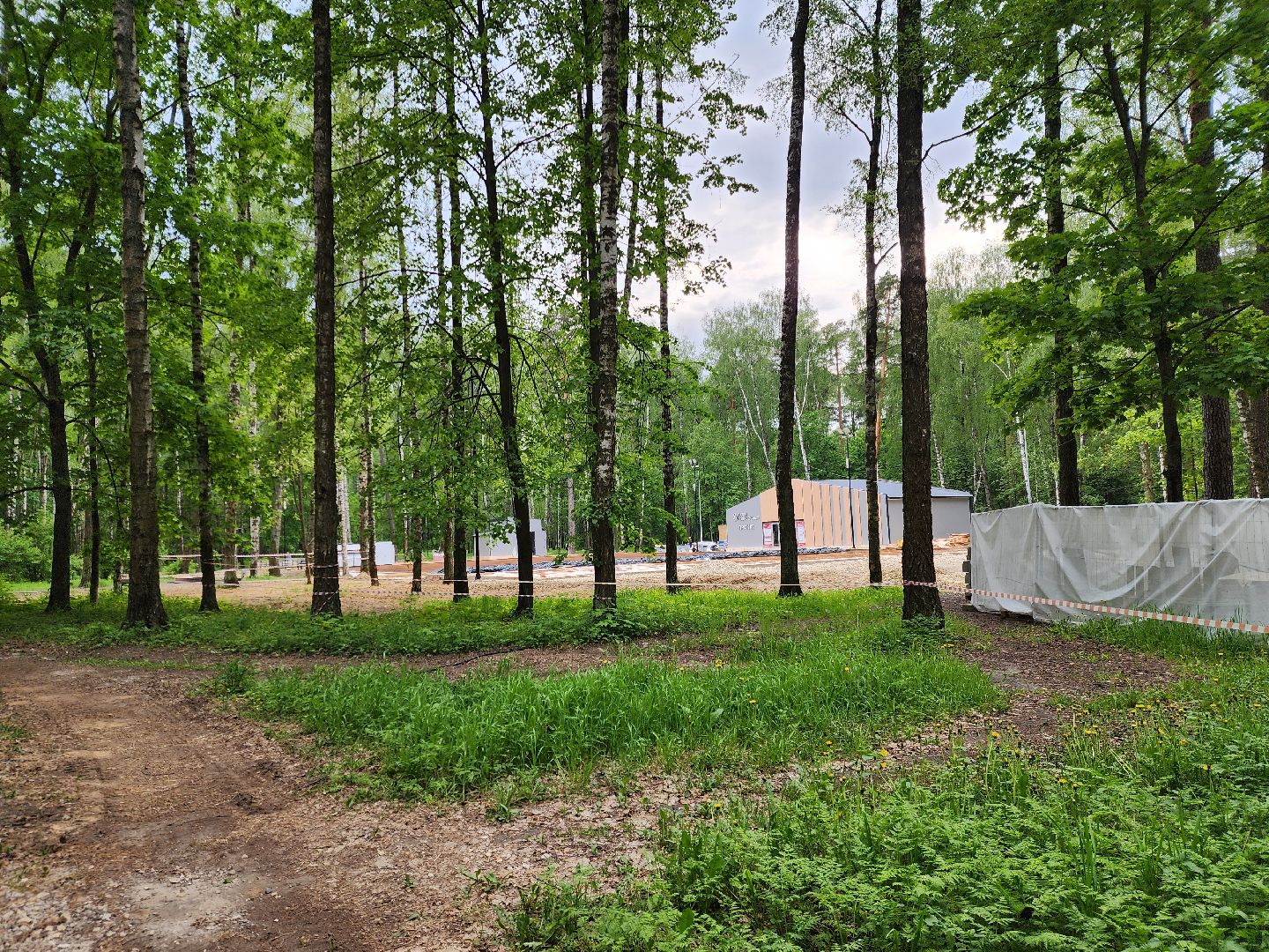 ногинск, ремонт, каток, парки, строительство, жители, общество,