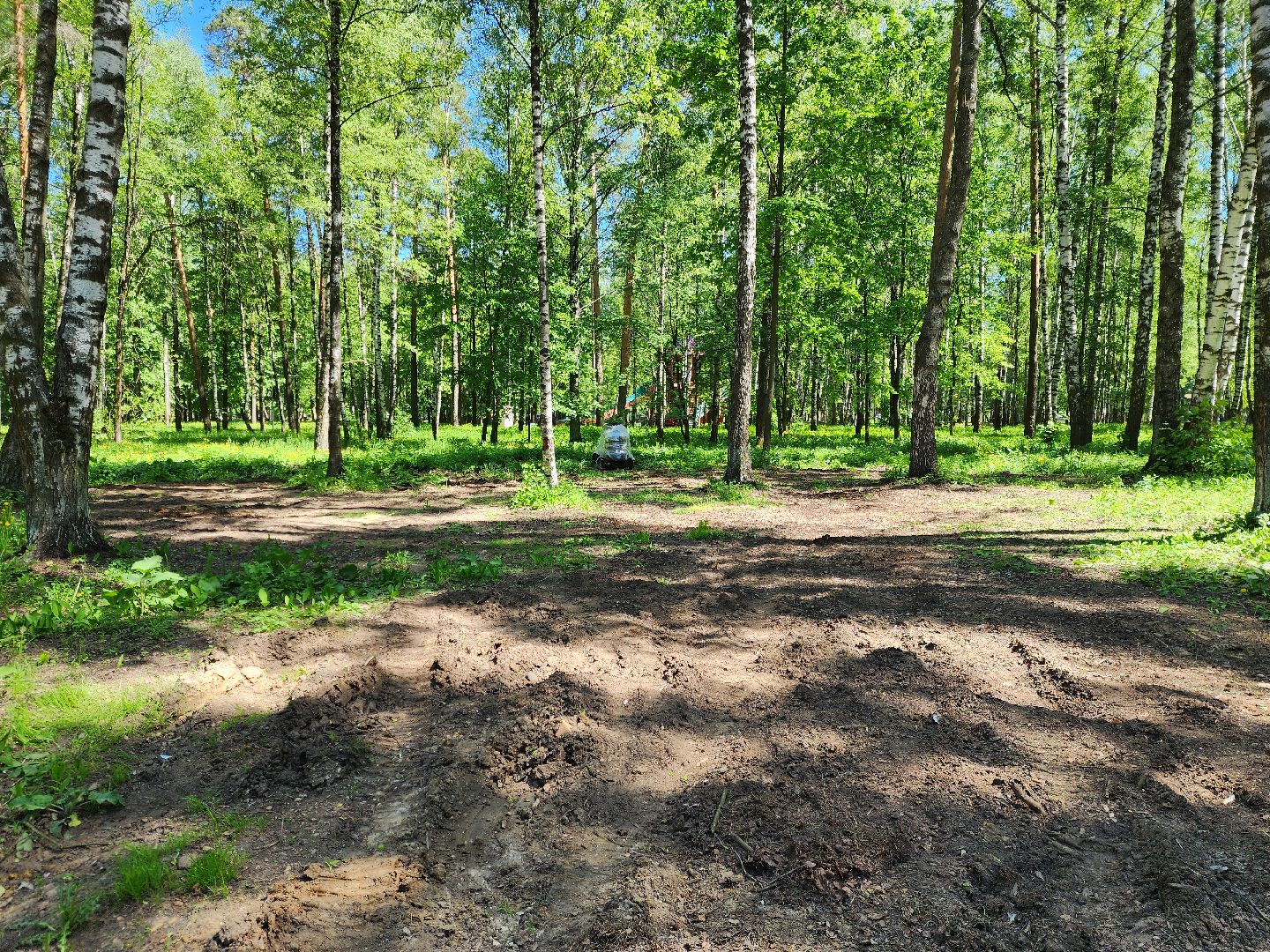 ногинск, ремонт, каток, парки, строительство, жители, общество,