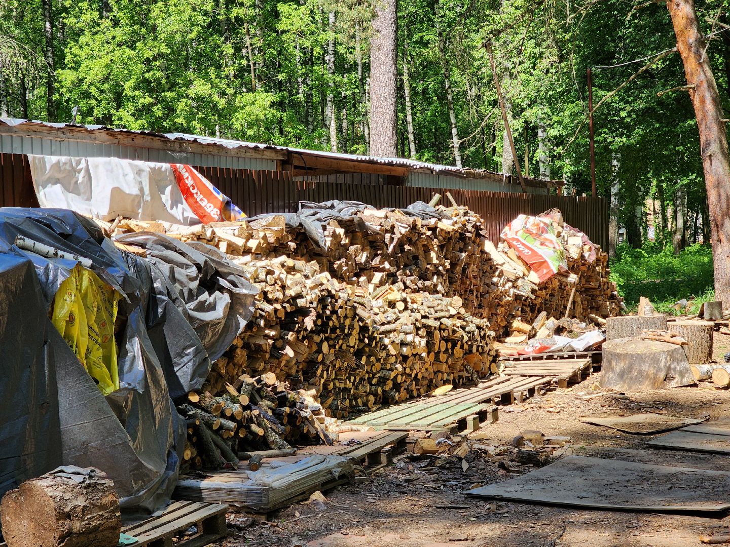 ногинск, ремонт, каток, парки, строительство, жители, общество,