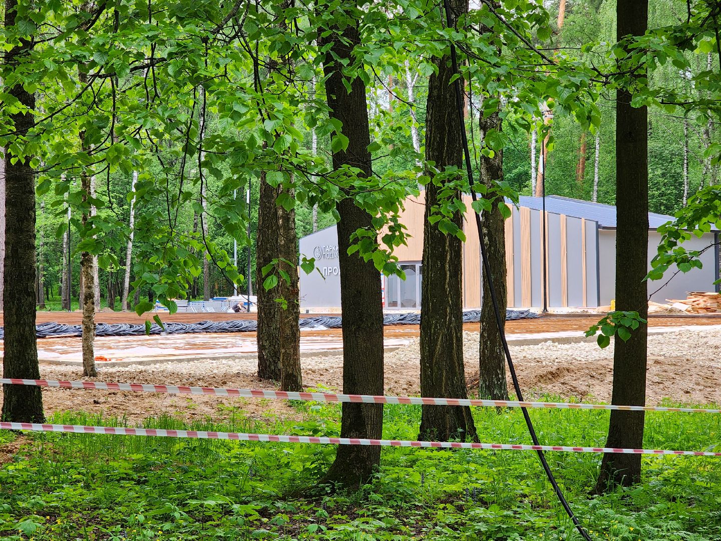 ногинск, ремонт, каток, парки, строительство, жители, общество,