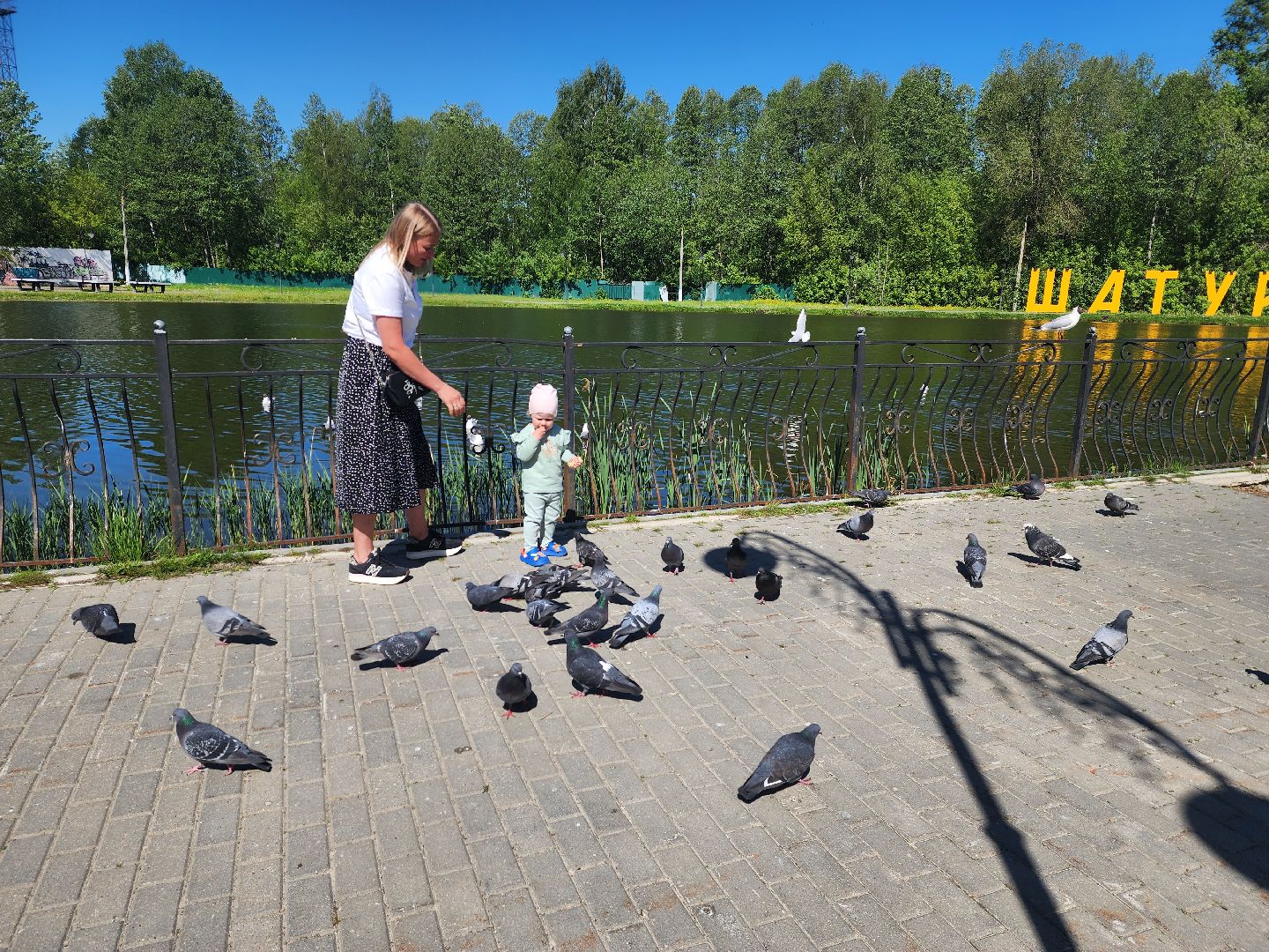 шатура, городской парк шатура, лето в подмосковье,