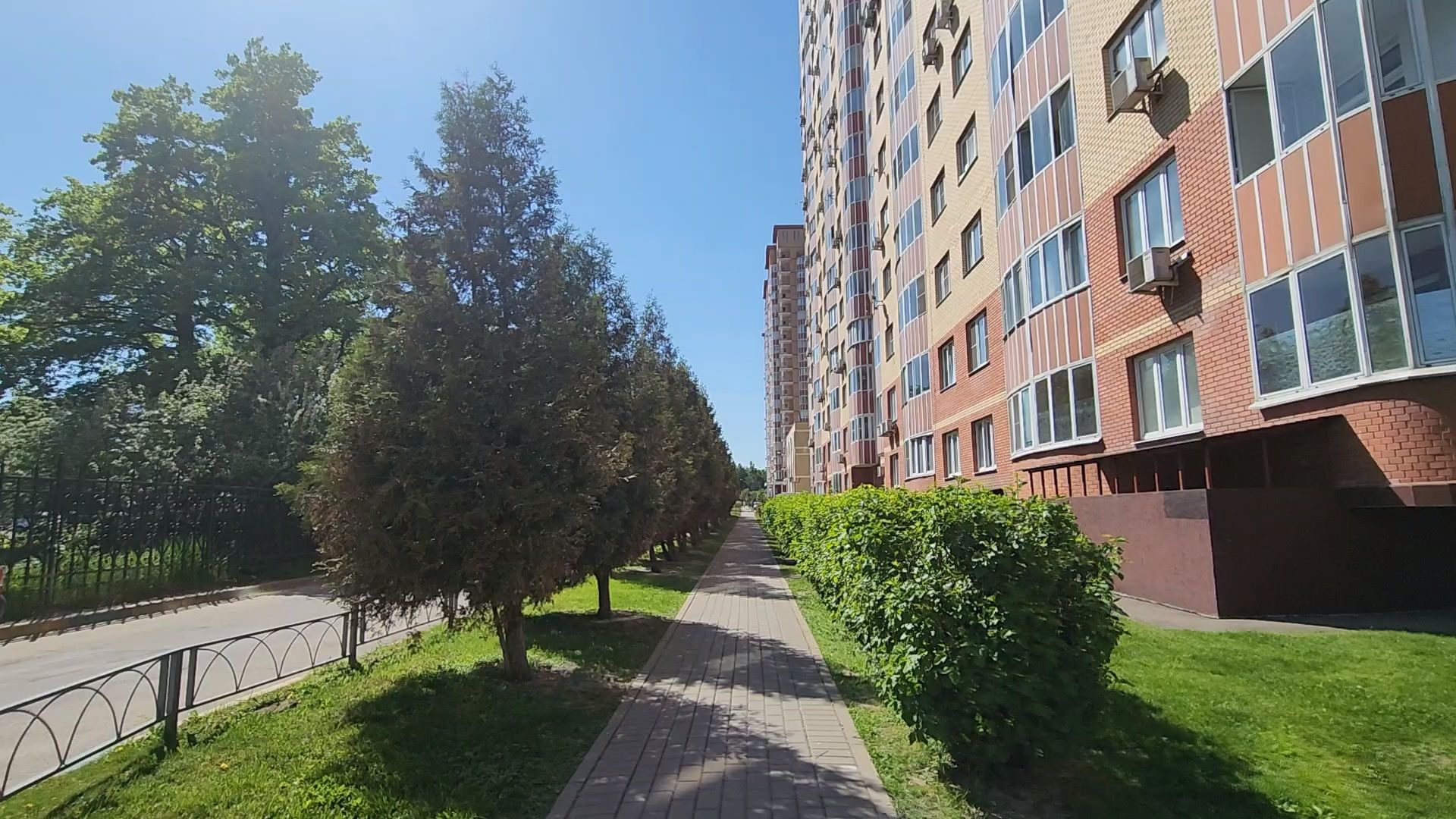 Одинцово, Благоустройство, площадка для выгула собак, санитарные нормы,