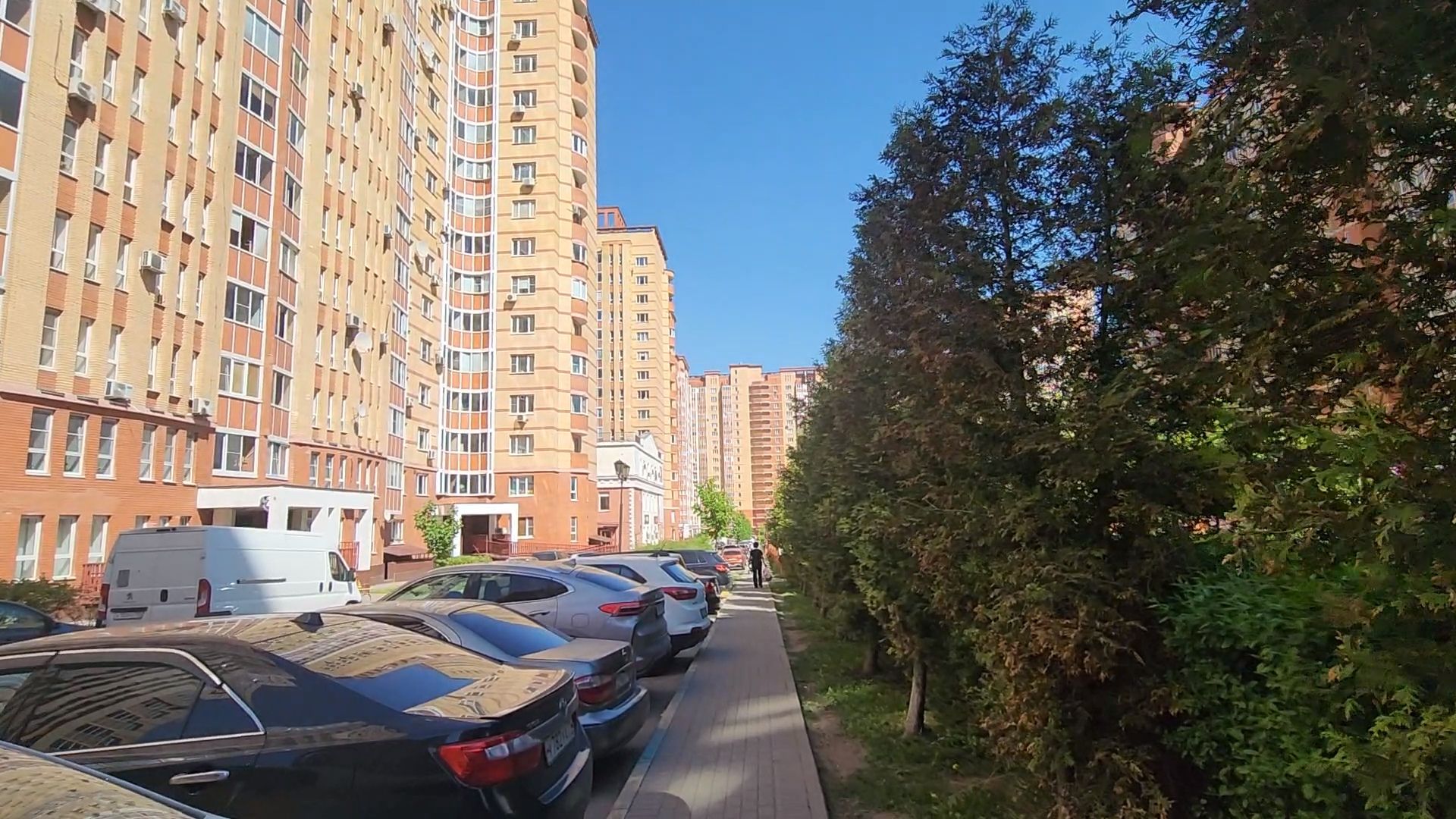 Одинцово, Благоустройство, площадка для выгула собак, санитарные нормы,