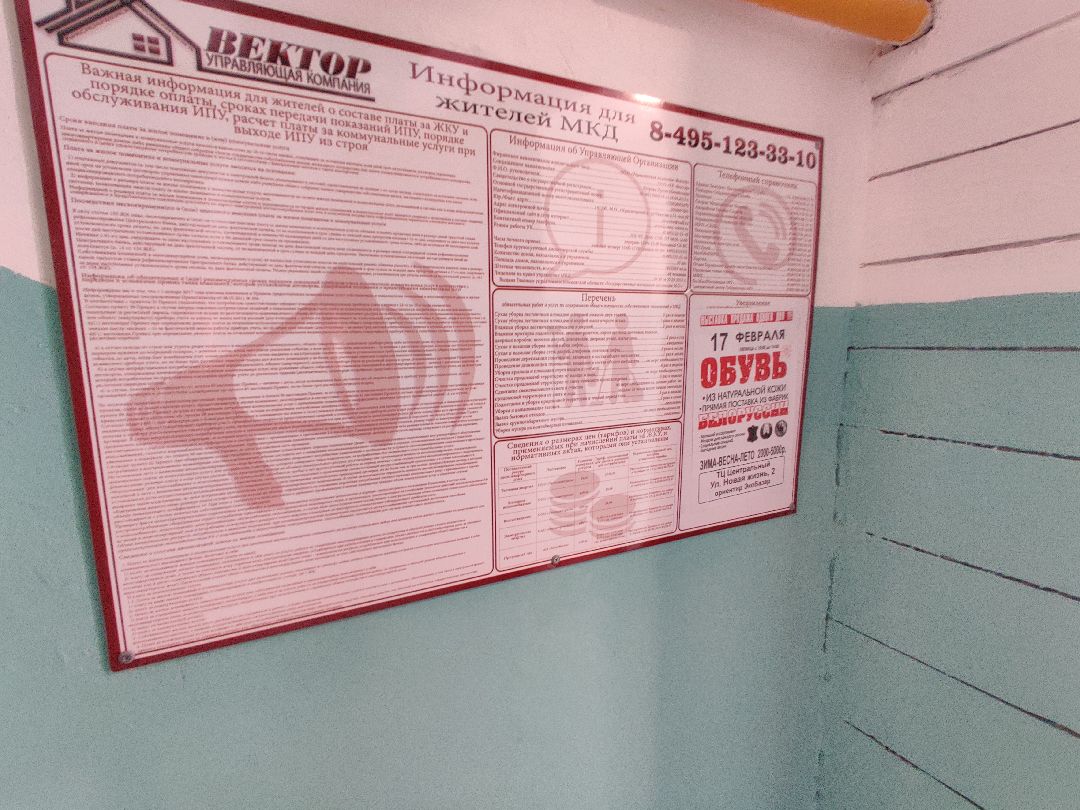 ЖКХ, ремонт подъездов, роспись стен