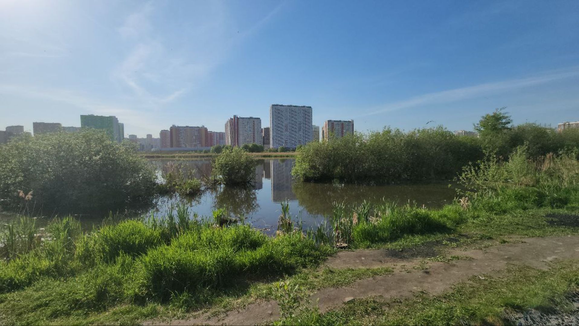 Люберцы, глава городского округа люберцы владимир волков, выездная администрация, озеро черное, благоустойство,