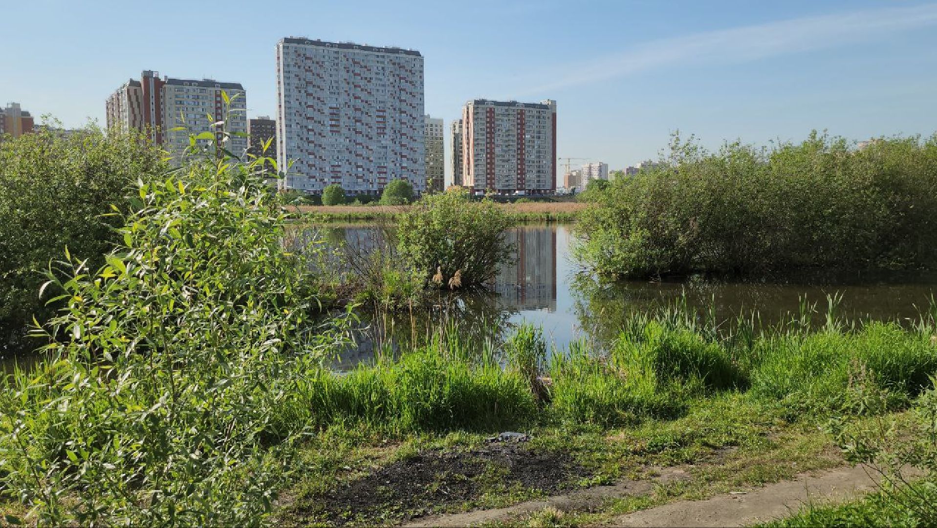Люберцы, глава городского округа люберцы владимир волков, выездная администрация, озеро черное, благоустойство,