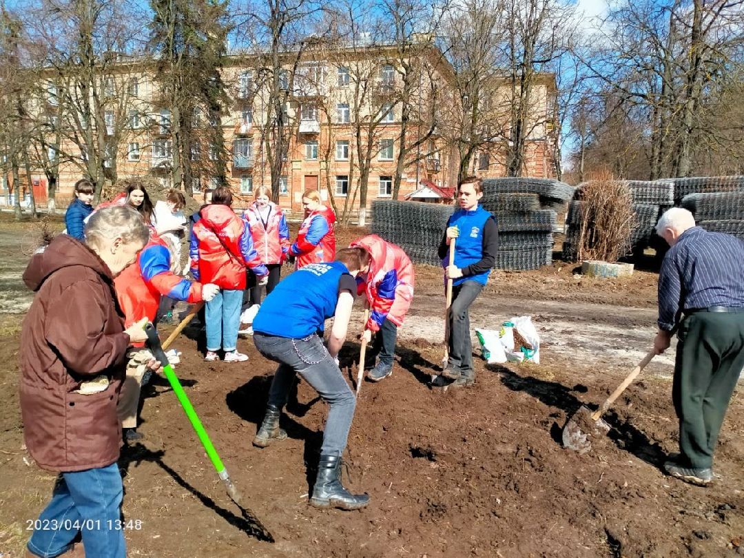 цветы, пересадка, благоустройство, Жуковский