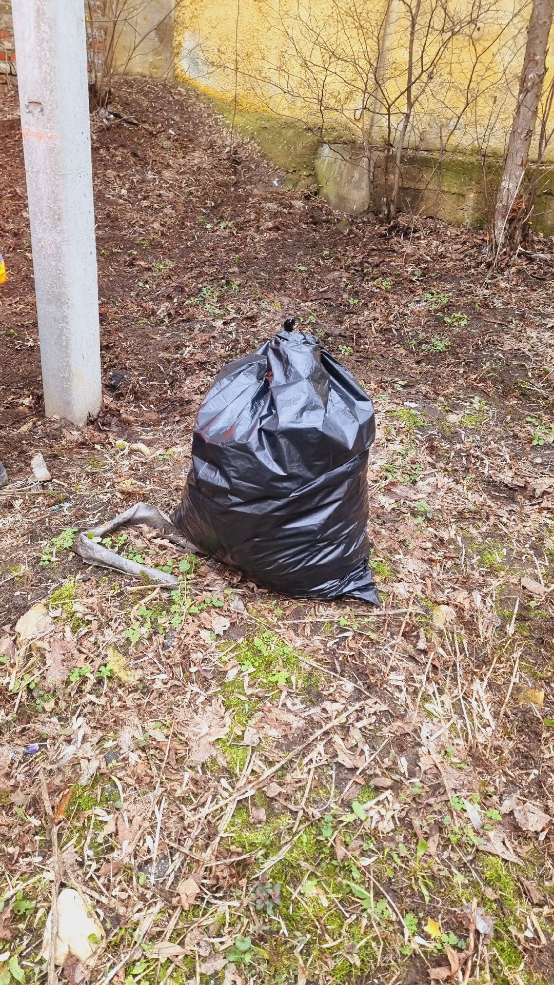 Подмосковье, Ивантеевка, благоустройство