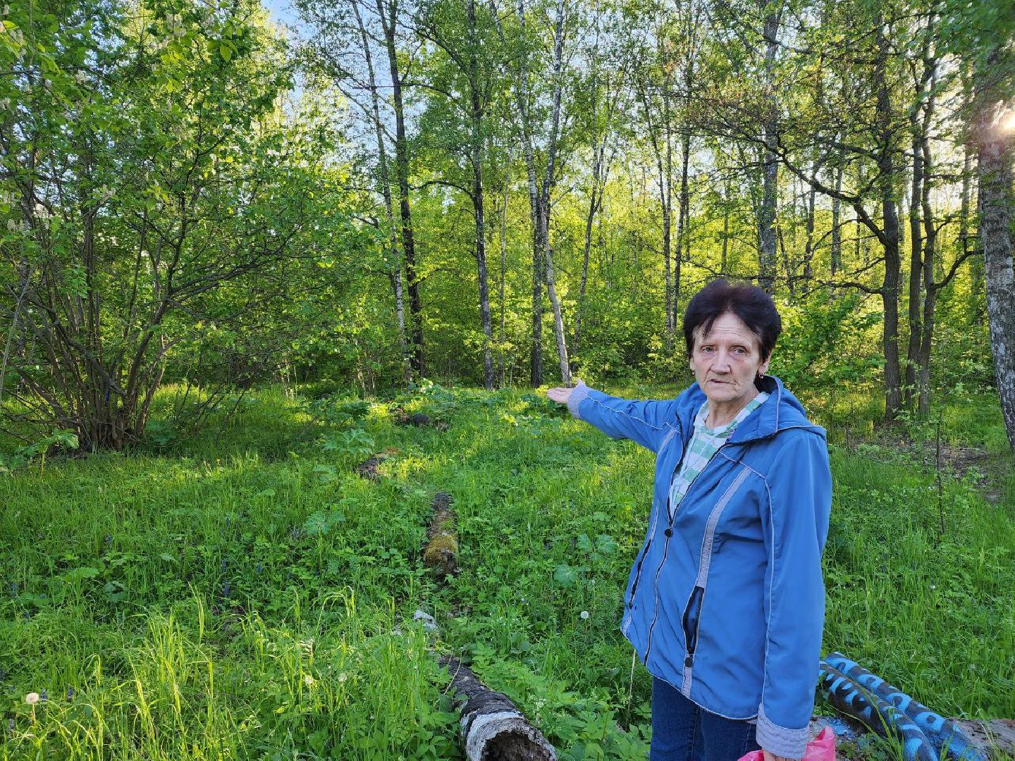 чехов, выездная администрация, чехов-8, борщевик, гербицидная обработка, жители,
