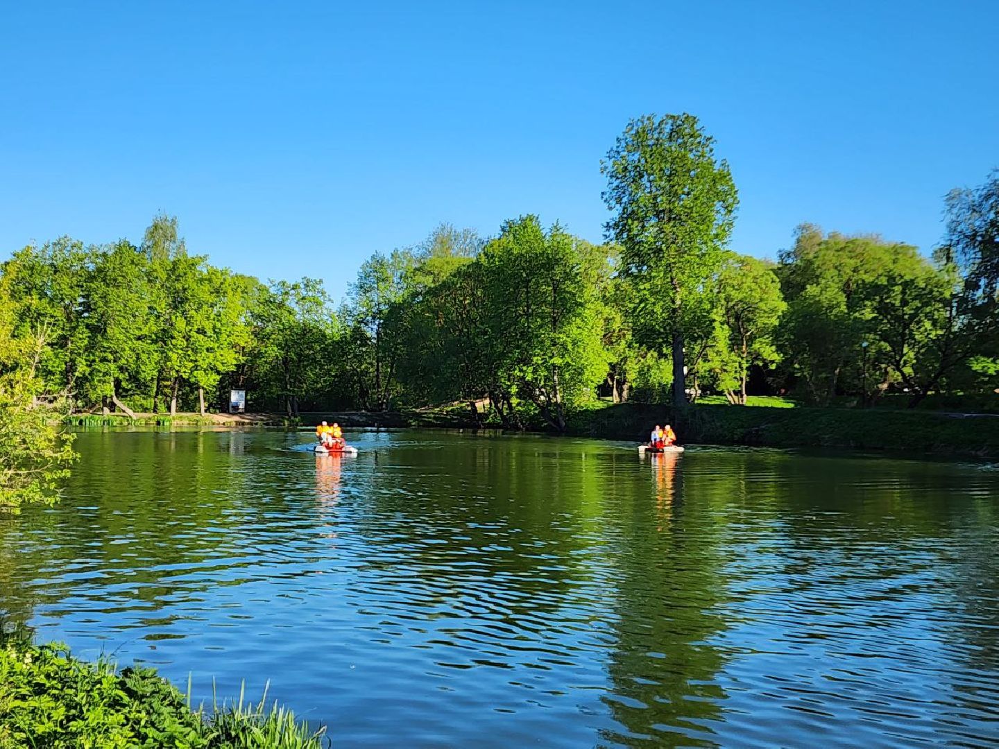 чехов, лето в подмосковье, городской парк, катамаран, жители, отдых,