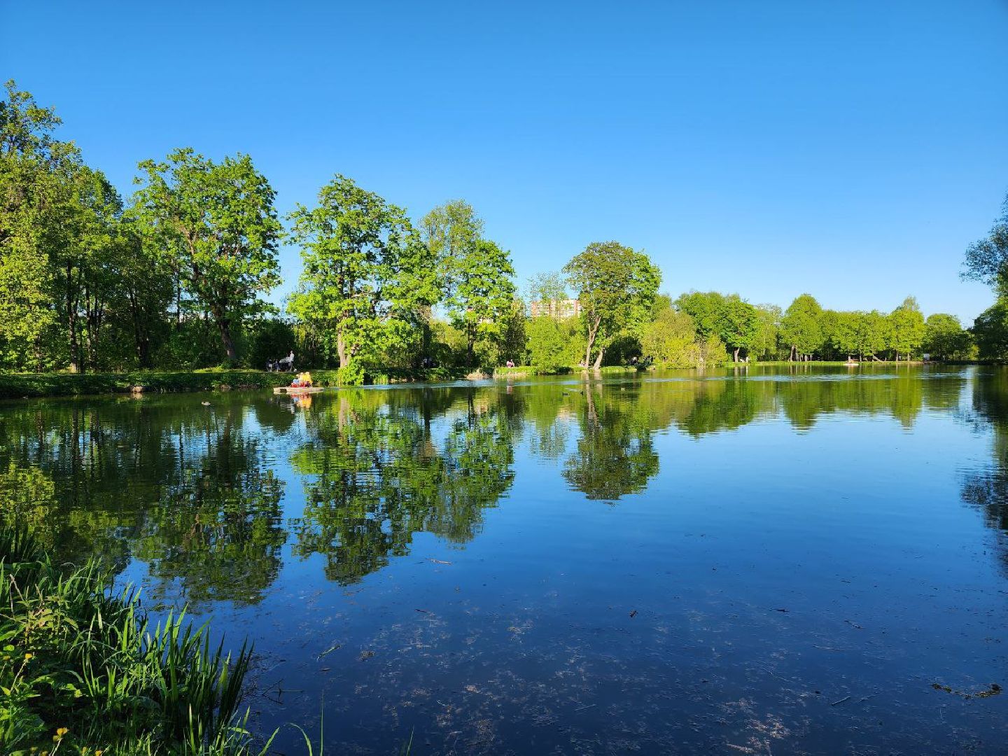чехов, лето в подмосковье, городской парк, катамаран, жители, отдых,