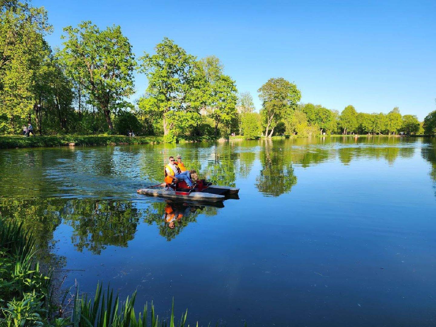 чехов, лето в подмосковье, городской парк, катамаран, жители, отдых,