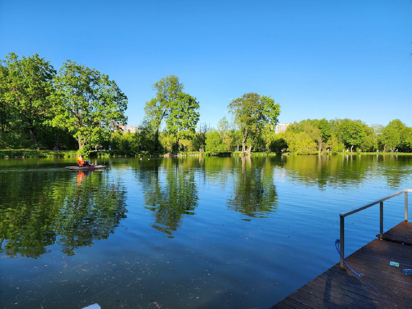 чехов, лето в подмосковье, городской парк, катамаран, жители, отдых,