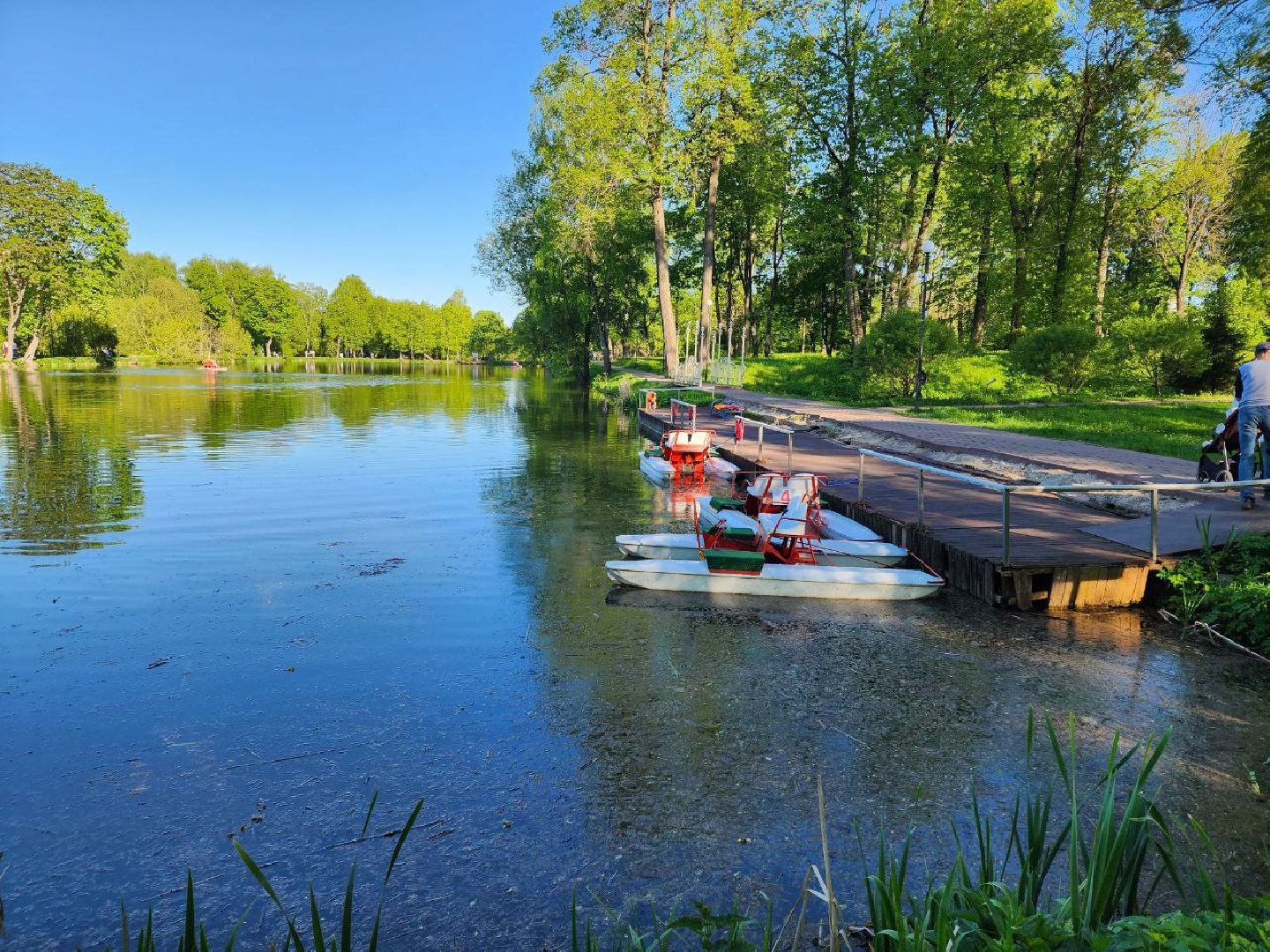 чехов, лето в подмосковье, городской парк, катамаран, жители, отдых,