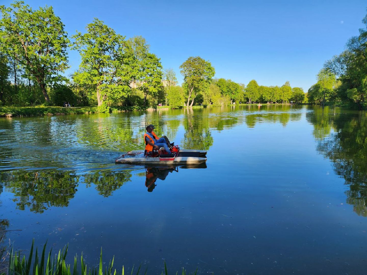 чехов, лето в подмосковье, городской парк, катамаран, жители, отдых,